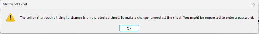 Sheet Protection Warning
